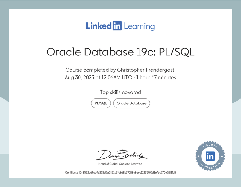 [Oracle Database 19c: PL/SQL](#oracle-database-19c-plsql)