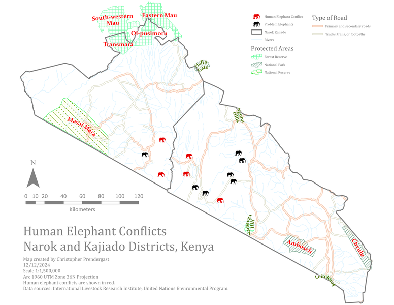 Human Elephant Conflicts