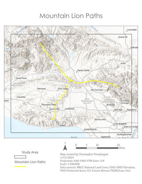 Mountain Lion Paths