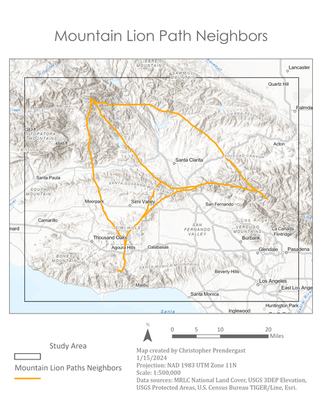 Mountain Lion Paths including Neighbors